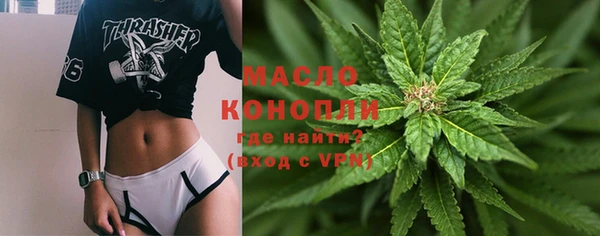 амф Дмитриев