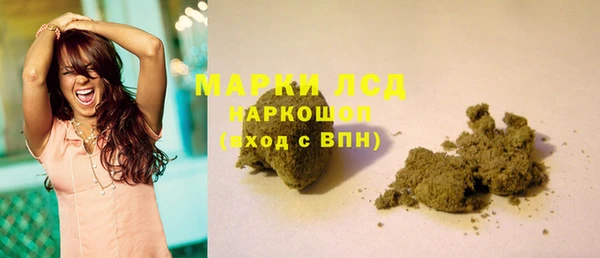 гашик Краснослободск