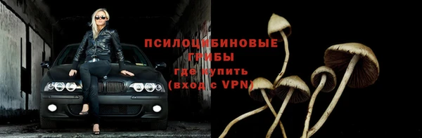 мескалин Алексин