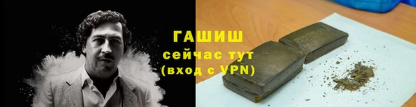 стаф Алзамай