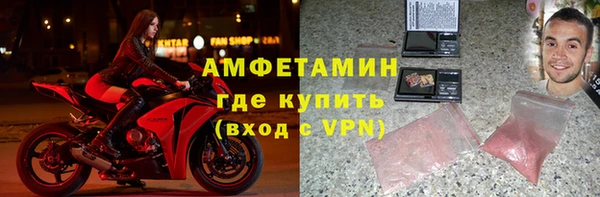 стаф Алзамай