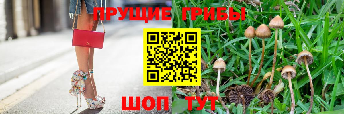 Псилоцибиновые грибы мухоморы Крымск